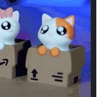 Clicker Cat Box Pack