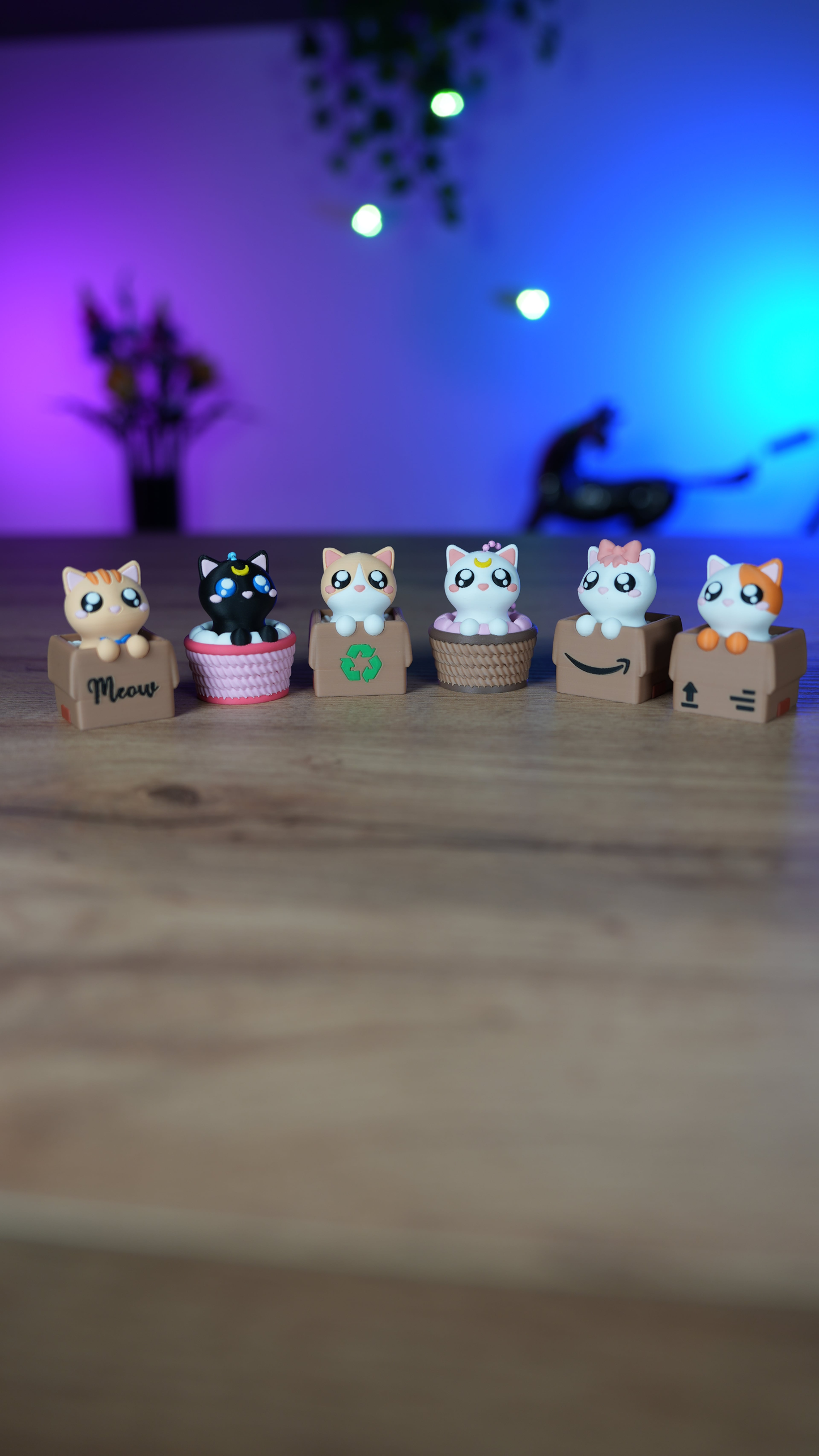 Clicker Cat Box Pack