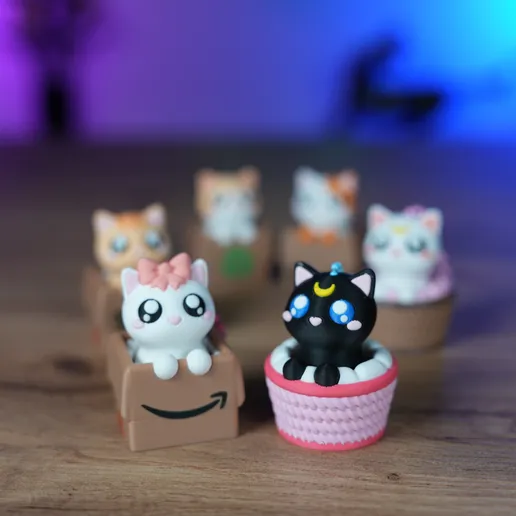 Clicker Cat Box Pack
