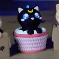 Clicker Cat Box Pack