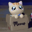 Clicker Cat Box Pack