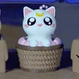 Clicker Cat Box Pack